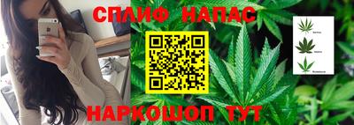 трава Берёзовский