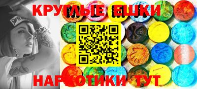 твердый Бийск